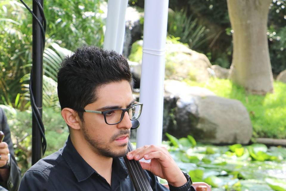 Ahmed, Cello