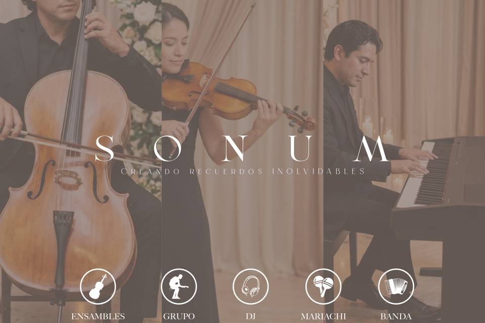 Sonum