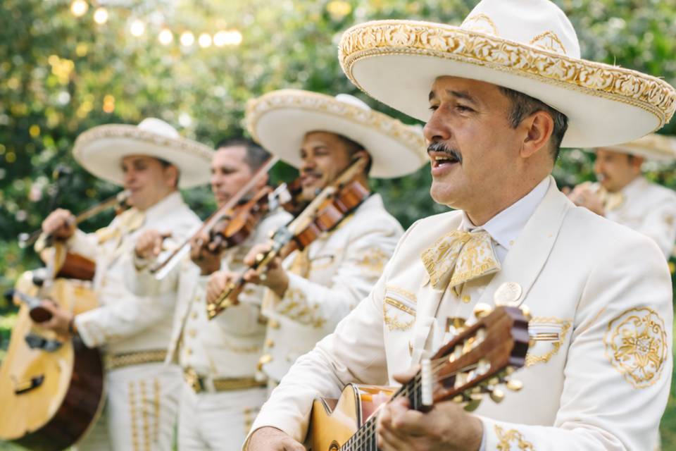 Mariachi Estatal Morelos
