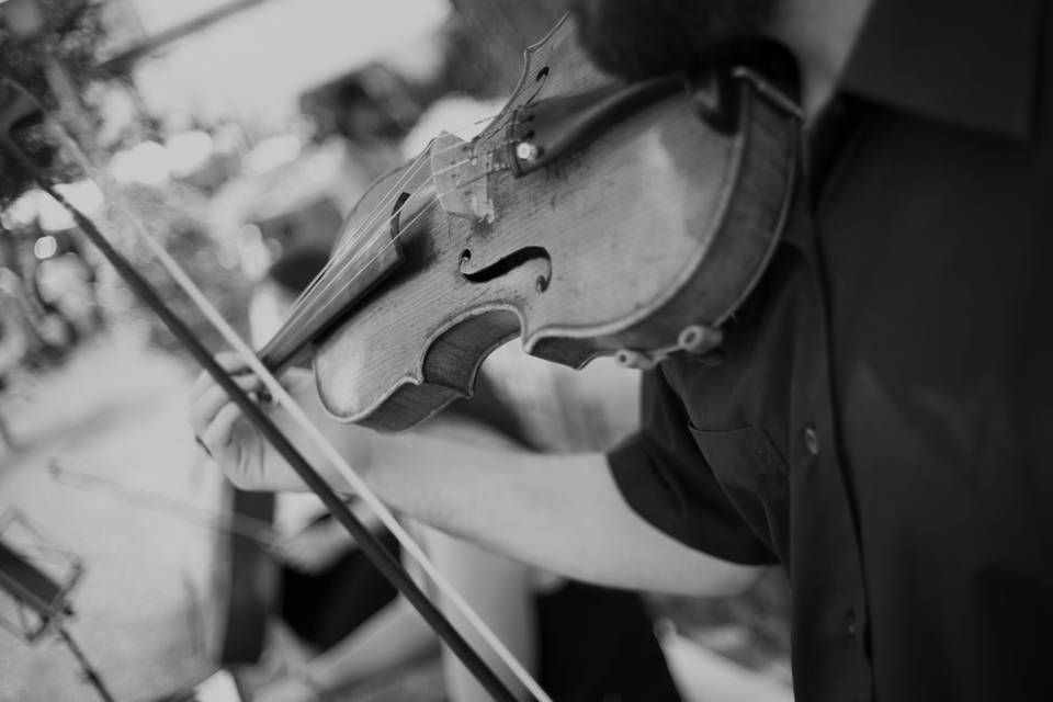 Violín