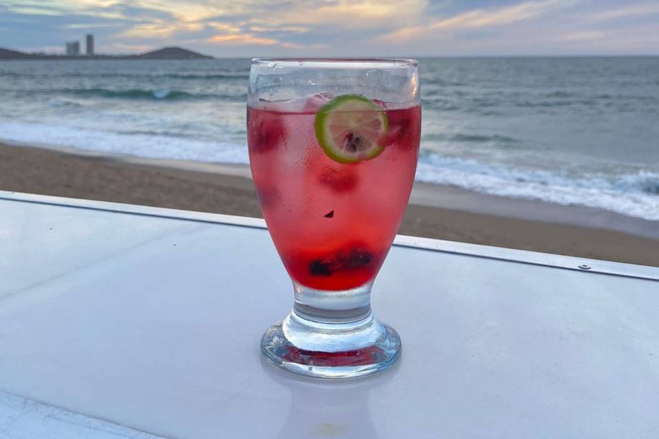 Gin tonic frutos rojos