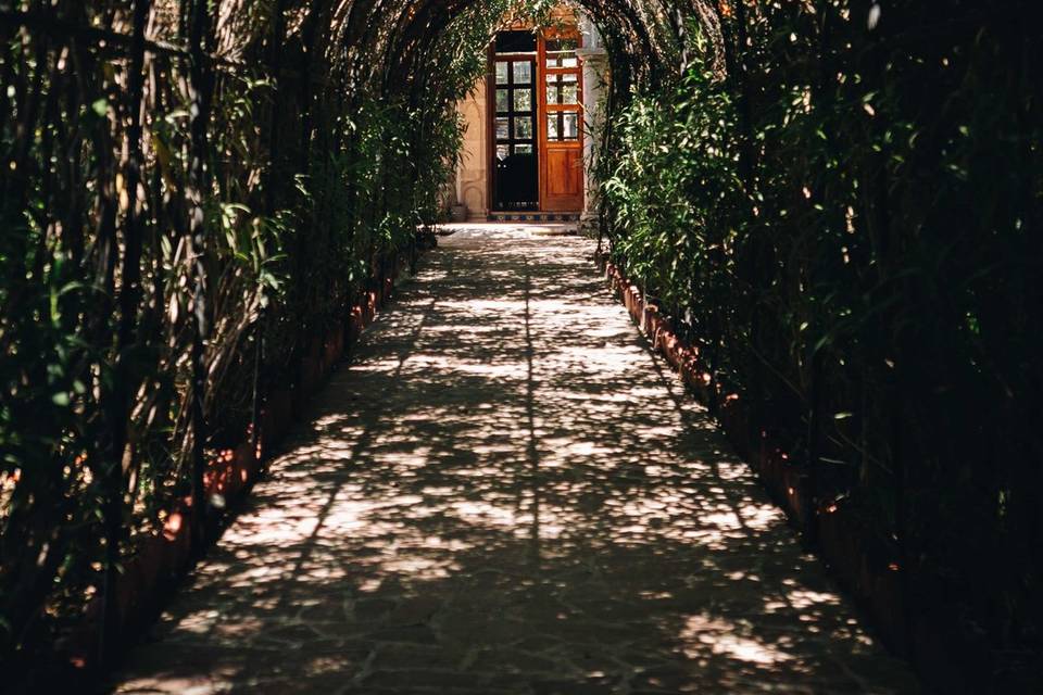 Casa Biznaga