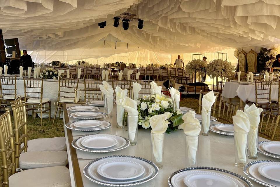 Boda campo cielo rosas