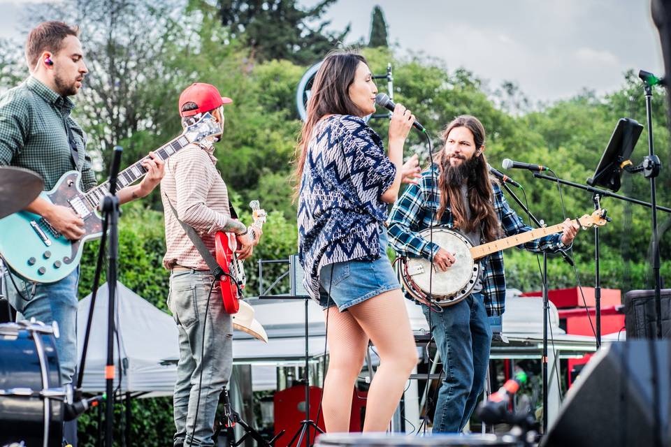 AgaveBlue Longuiness