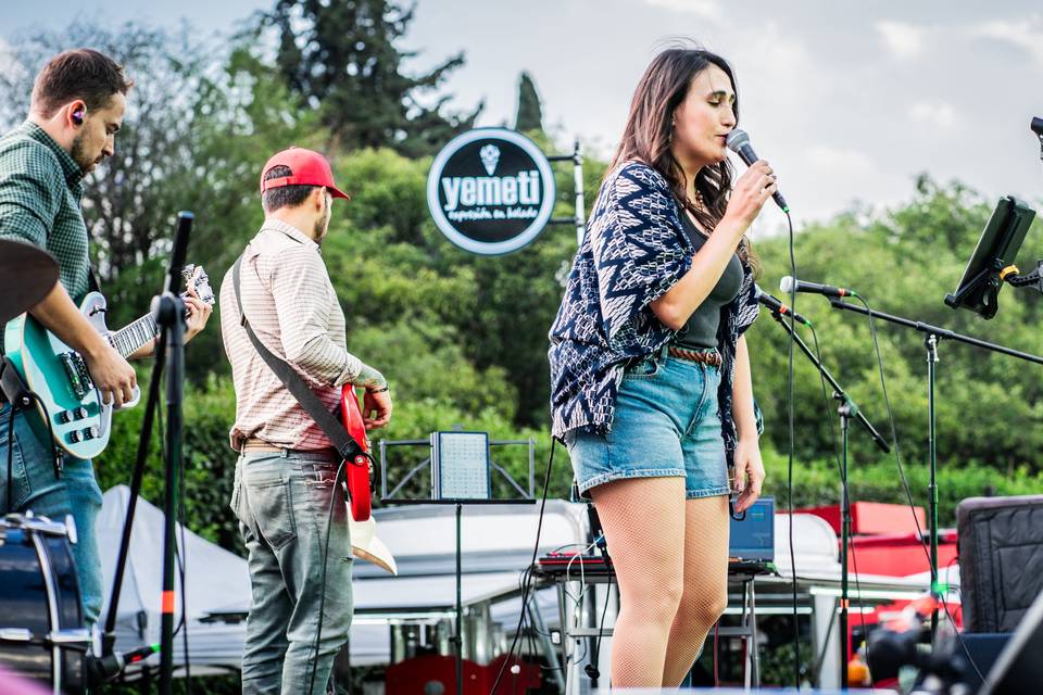 AgaveBlue Longuiness