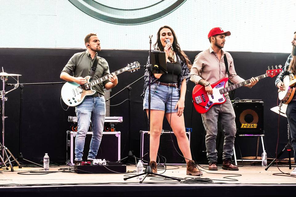 AgaveBlue Longuiness