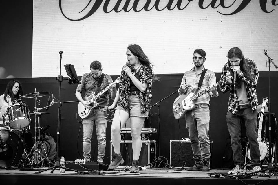 AgaveBlue Longuiness