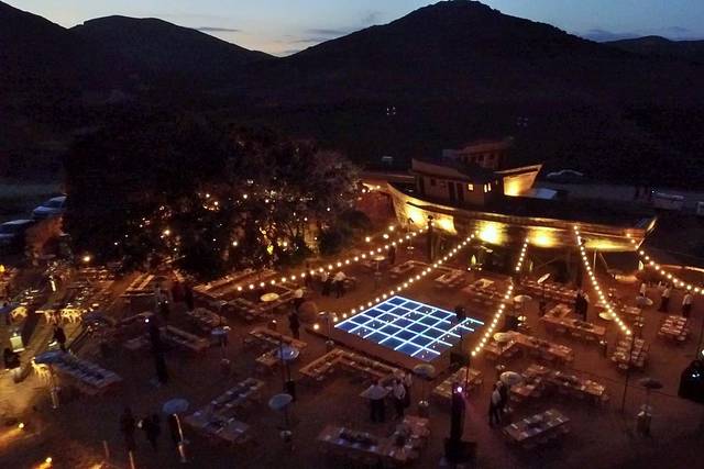 Iluminación en viñedos