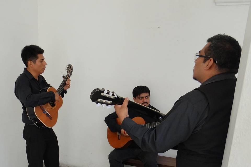 Serenata Oaxaca