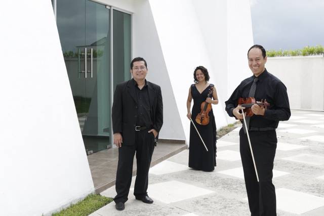 Gala Strings