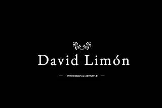 David limon logo