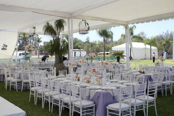 Organización de eventos