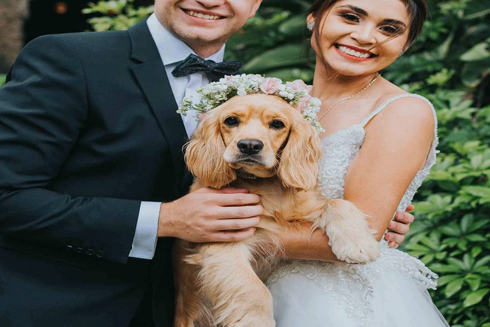 Corona de flores para mascota