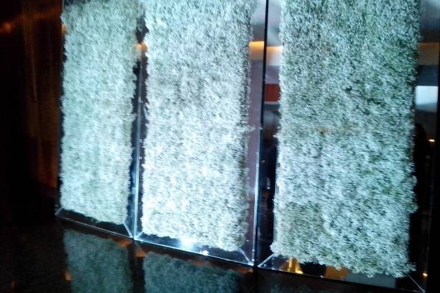 Decoraciones