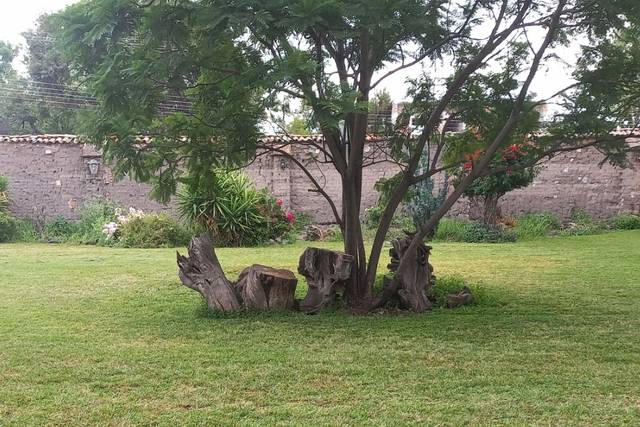 Jardín exterior