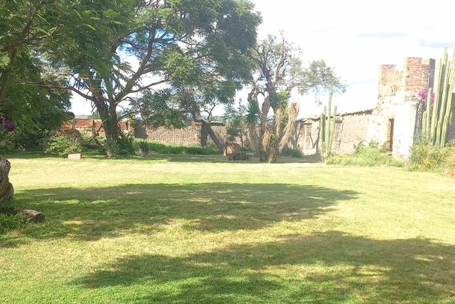 Jardín principal