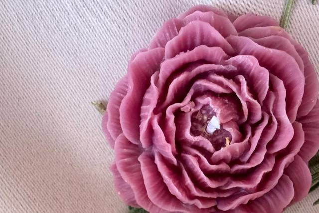 Peonia