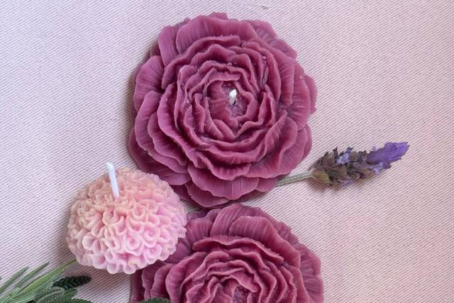 Peonia