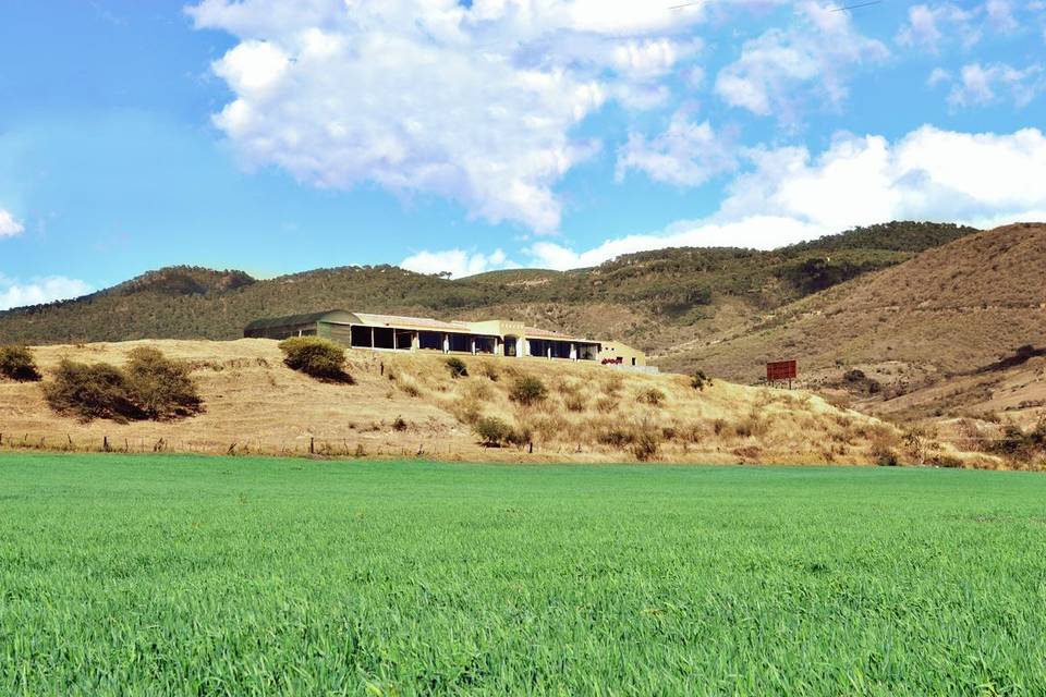 Hacienda Cofradía