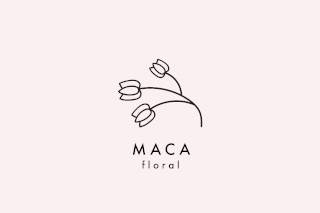 Maca floral