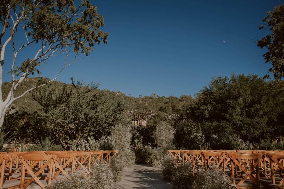 Agaves Ceremonia