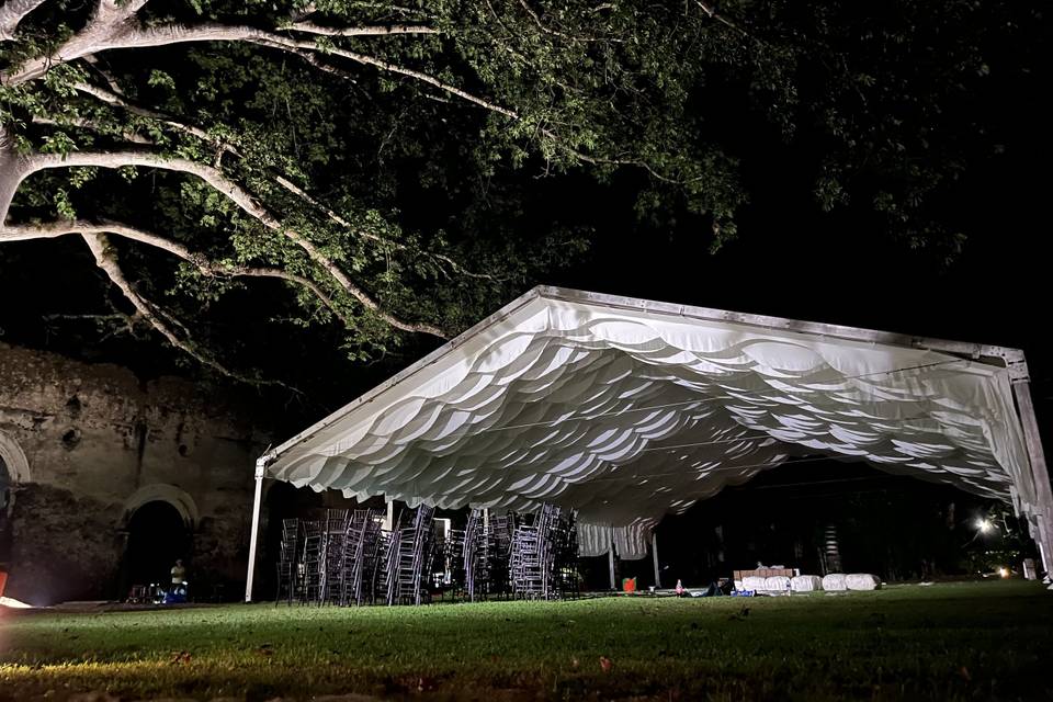 Carpa con plafon de olas