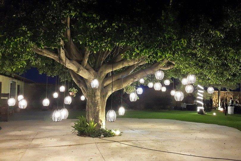 Árbol iluminado