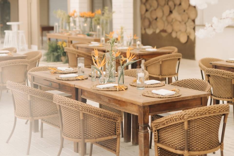 Leticia Alvarenga Event Planner
