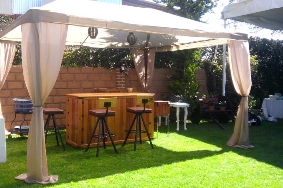Bar y periqueras
