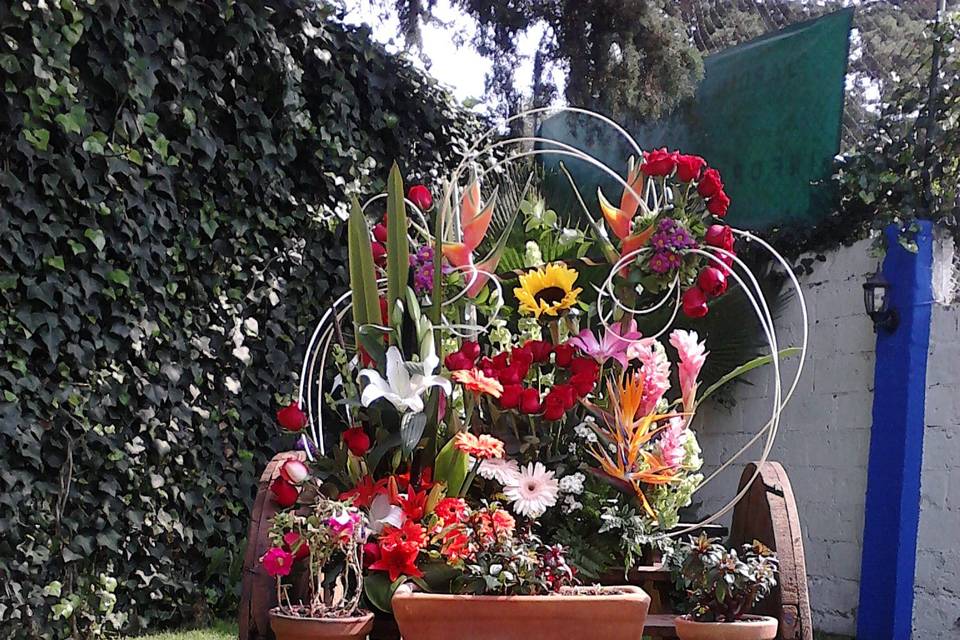 Flores de temporada