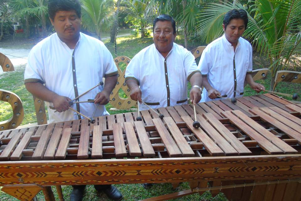 Marimba lo mejor de chiapas