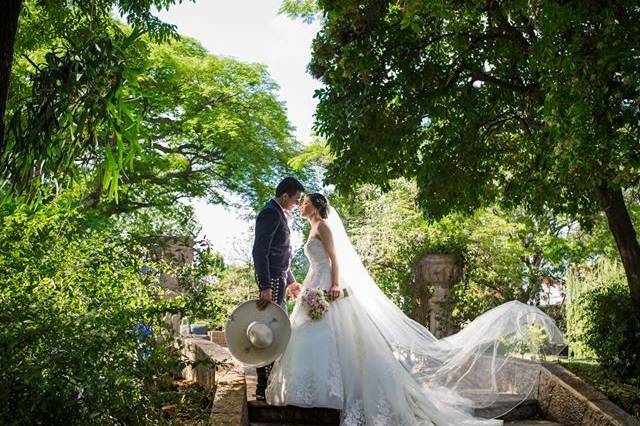 Boda caro y arnold