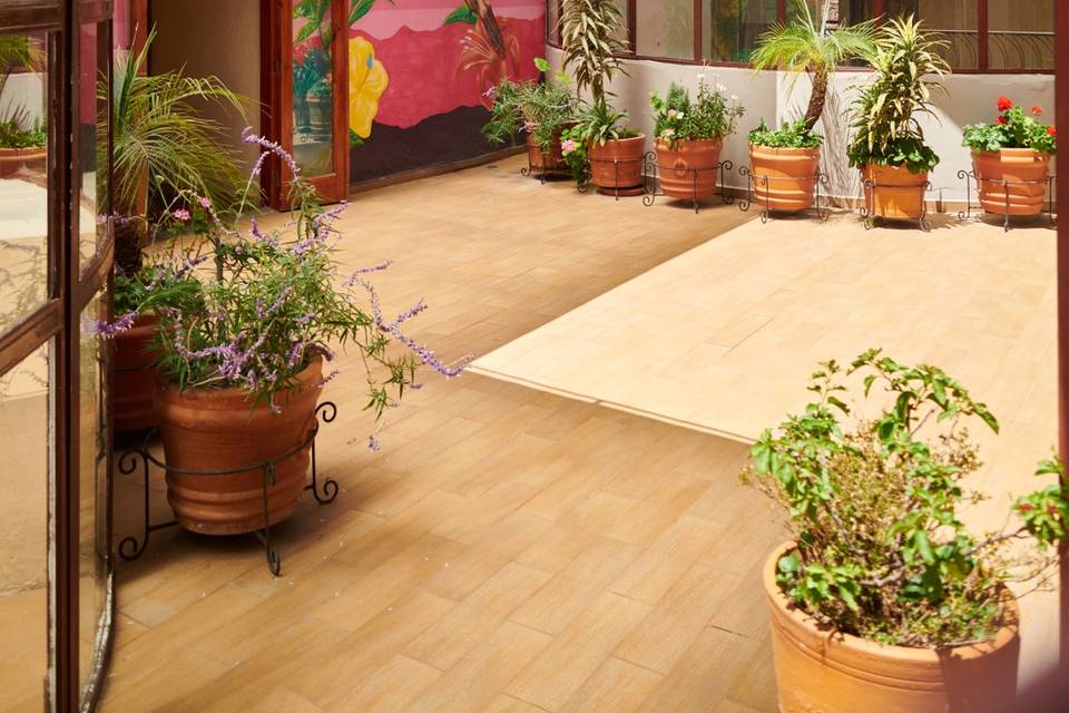 Terraza