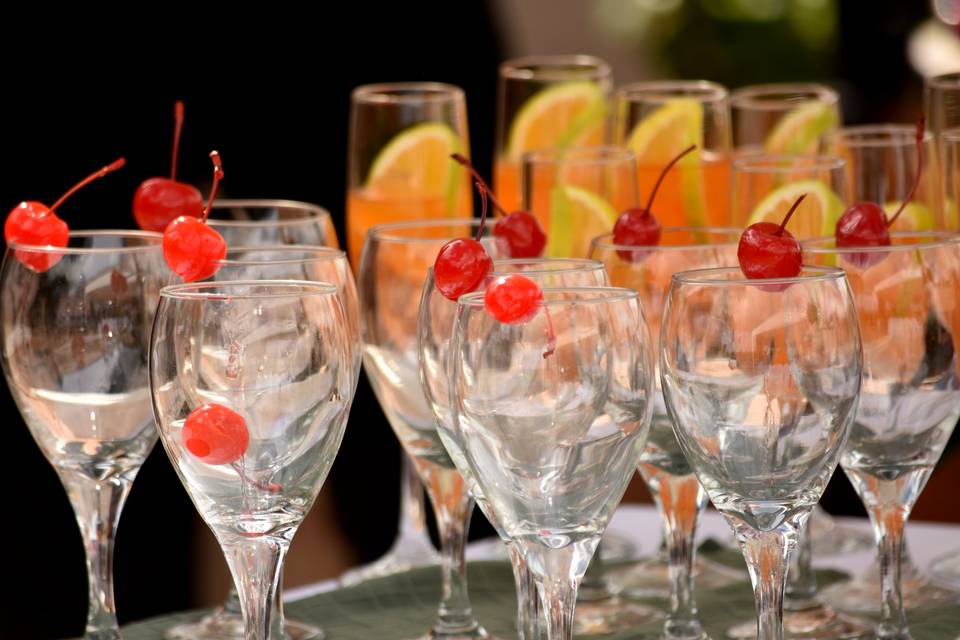 Cocteles