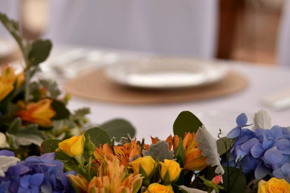 Decoracion