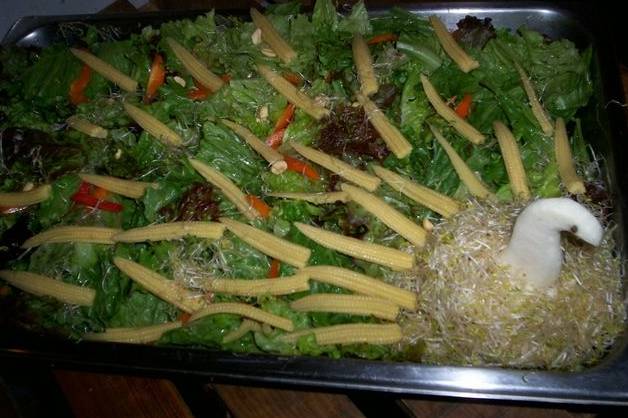 Ensalada cisne