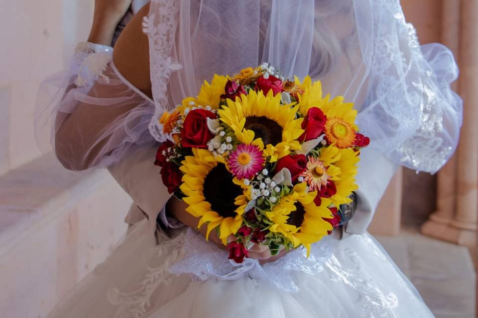 Novios