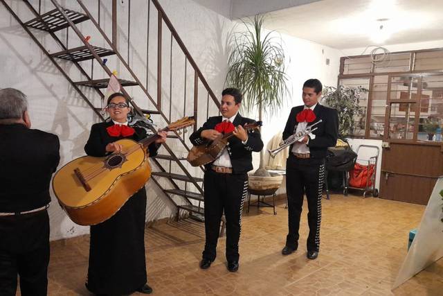 Show en vivo