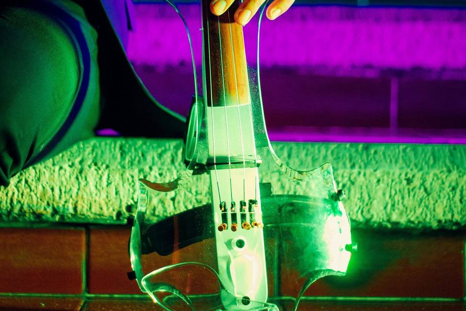 Colorful Violin