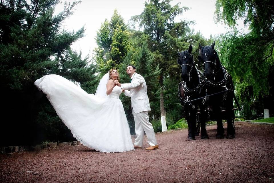 Estudio de los novios