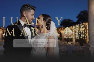 Palazzo Invites