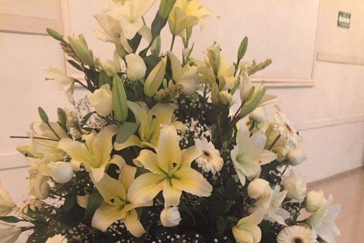 Planificadores de eventos nupciales