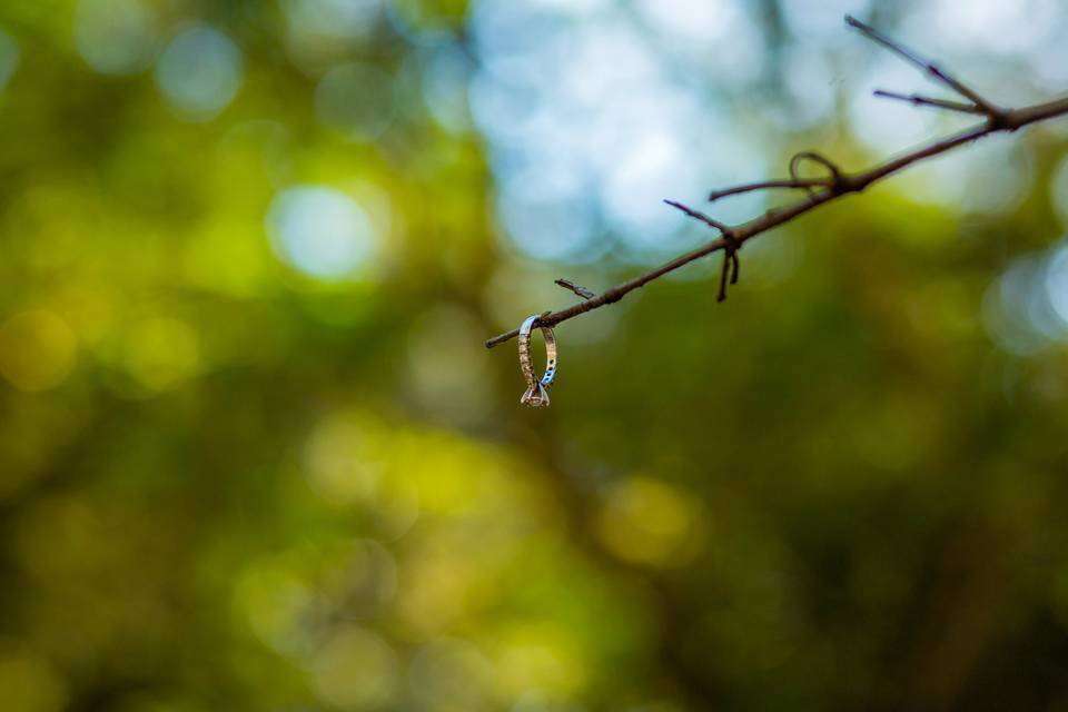 Nizama Fotografía