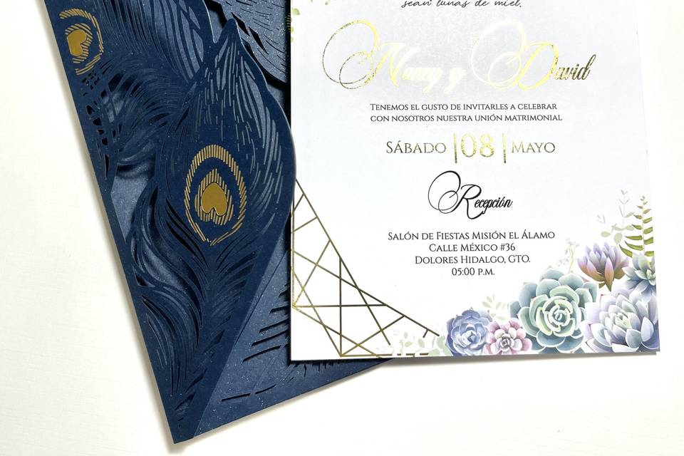 Invitación suculentas