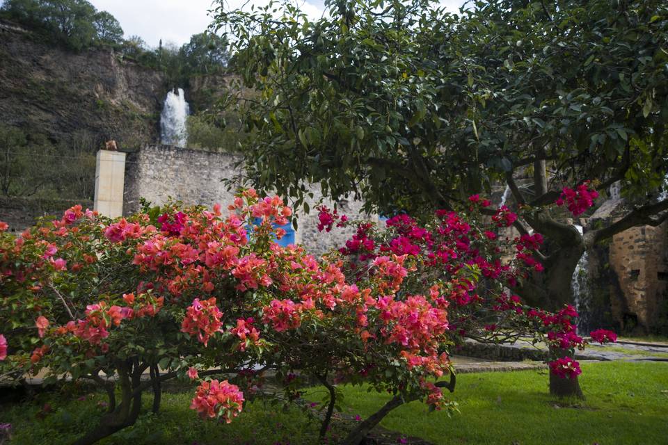 Hacienda Santa María Regla