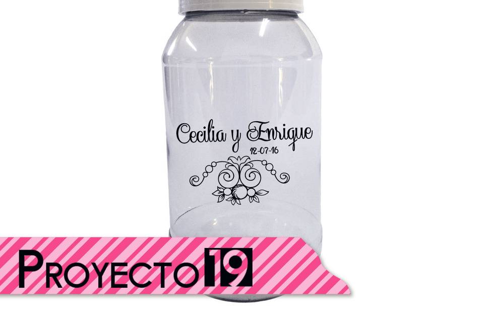 Proyecto 19