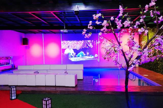 Letrero Open Neon Led Abierto Dance Decoración Karaoke