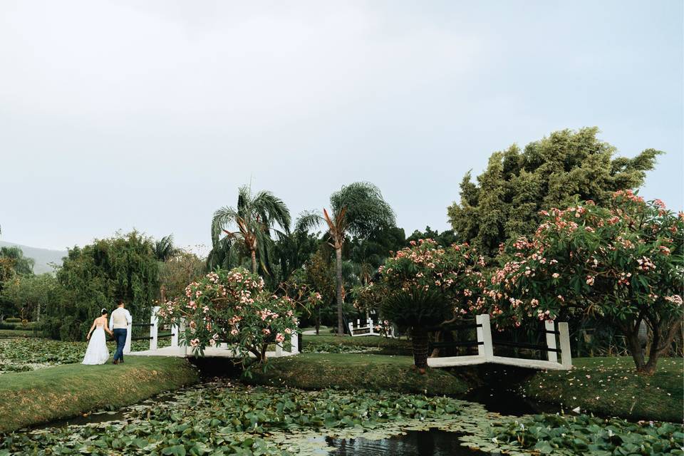 Jardín y lago