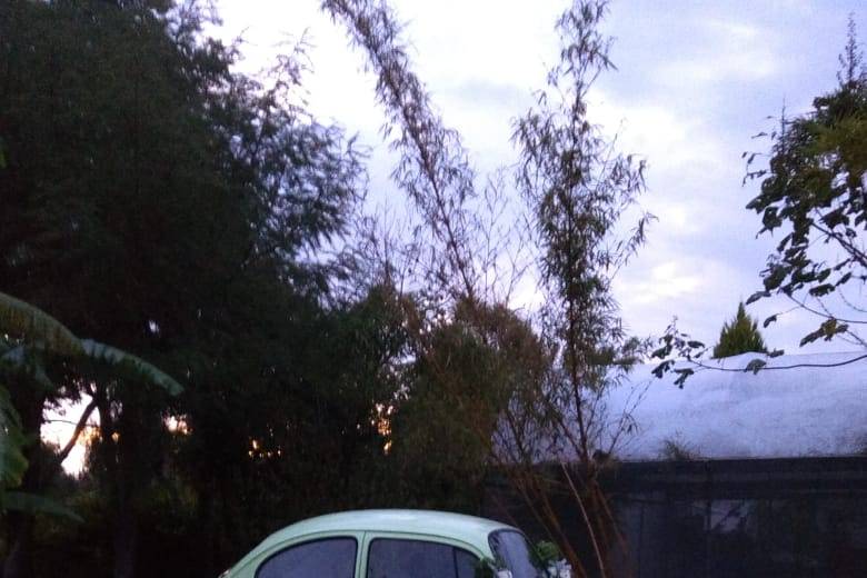 Nuestro volkswagen original