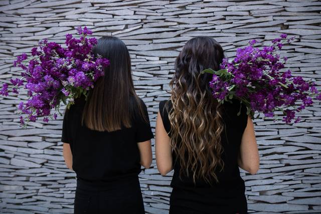 Vlei socias & cómplices